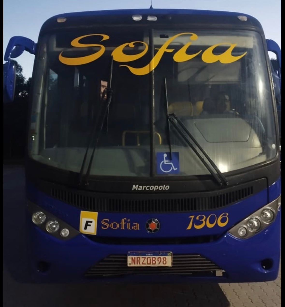 Ônibus 1306