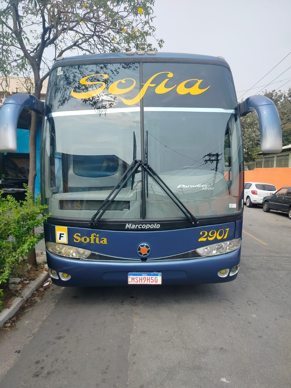 Ônibus 2901