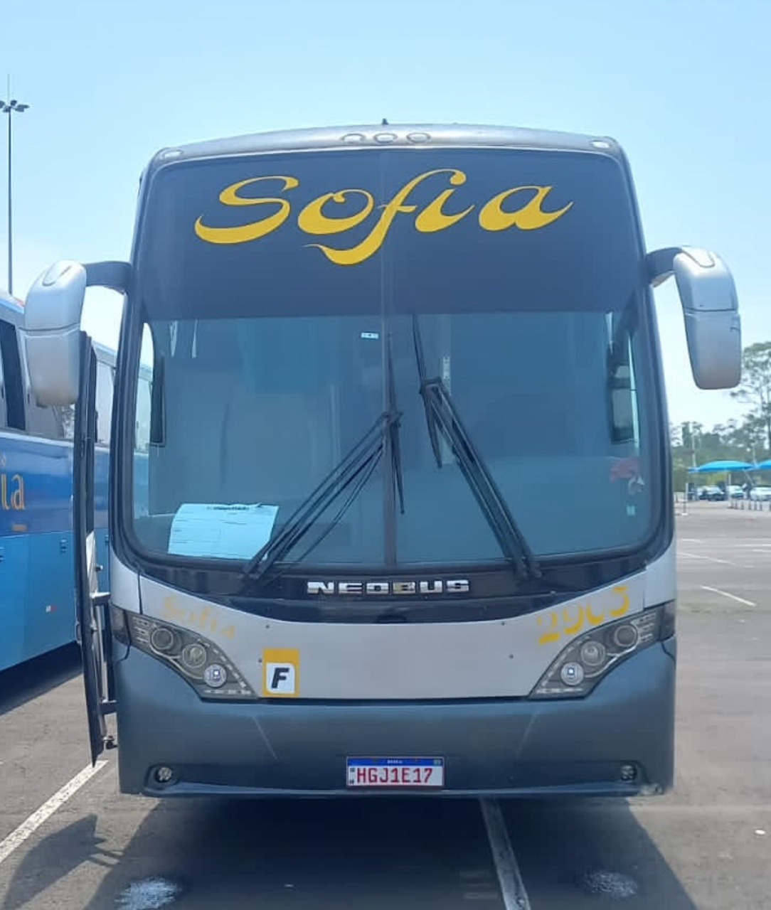 Ônibus 2905